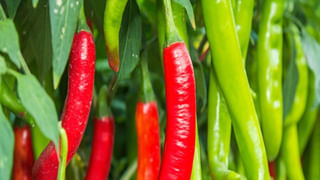 ఆహా..! ఆ గదిలో అడుగుపెడితే.. మన కళ్ళే మనల్ని మోసం చేస్తాయి..!