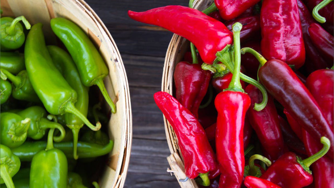 పచ్చి మిర్చి విటమిన్ సి ఎక్కువగా ఉంటుంది. ఎరుపు రంగు మిర్చితో పోలిస్తే ఇది వ్యక్తి శరీరానికి కావాల్సిన అనేక పోషకాలను అందిస్తుంది. అంతే కాకుండా, ఇందులో ఉండే పోషకాలు, యాంటీ ఆక్సిడెంట్స్ రోగనిరోధక శక్తి పెరిగేలా చేస్తాయంట. అంతే కాకుండా దీని వలన చర్మం సురక్షితంగా ఉండటమే కాకుండా, ఇది ఐరన్ లోపాన్ని కూడా అధిగమిస్తుందని చెబుతున్నారు ఆరోగ్య నిపుణులు.