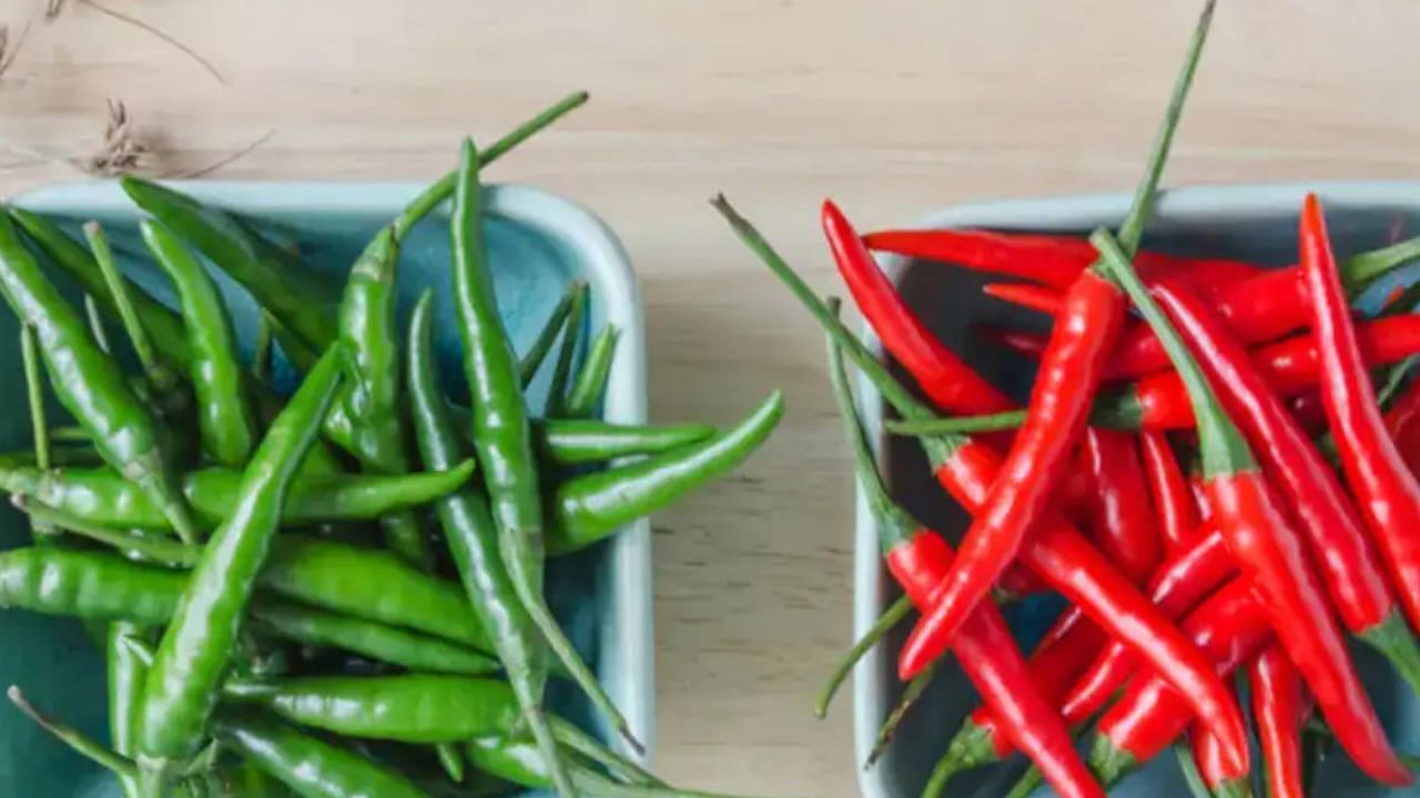 ఎండు మిర్చీ కూడా ఆరోగ్యానికి చాలా మంచిదే కానీ, ఎరుపు రంగు మిర్చీతో పోలిస్తే ఆకుపచ్చ రంగు మిర్చీ ఆరోగ్యానికి చాలా మేలు చేస్తుందంట.పచ్చి మిర్చీ రోగనిరోధక శక్తిని పెంపొందిస్తే, ఎరుపు రంగు మిర్చి, దగ్గు జలుబు వంటి సమస్యల నుంచి మిమ్మల్ని కాపాడుతుంది, అంతే కాకుండా ఇది ఒళ్లు నొప్పుల నుంచి మీకు ఉపశమనం కలిగేలా చేస్తుందంట. అయితే ఇందులో ఎది తినడం ప్రయోజనకరమో ఇప్పుడు చూద్దాం.