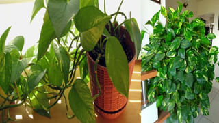 Chanakya Niti: ఇలాంటి వ్యక్తులతో ఎవరూ సంతోషంగా ఉండలేరు.. భూమికి భారం అంటున్న చాణక్య