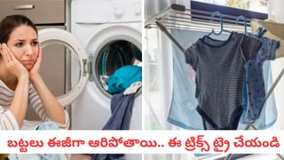 Egg Hacks:కోడి గుడ్డు ఈ రంగులో కనిపిస్తే డేంజర్! పాడైన వాటిని ఈజీగా గుర్తించండిలా..