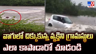 Vijayawada: విజయవాడలో దంచికొట్టిన వాన.. విరిగిపడ్డ చెట్లు