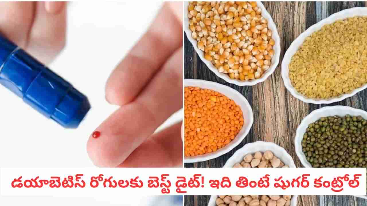 Diabetes Diet: ఈ పప్పుతో షుగర్ కంట్రోల్ అవుతుందా? నిపుణులు చెప్పిన బెస్ట్ డైట్ సీక్రెట్స్!