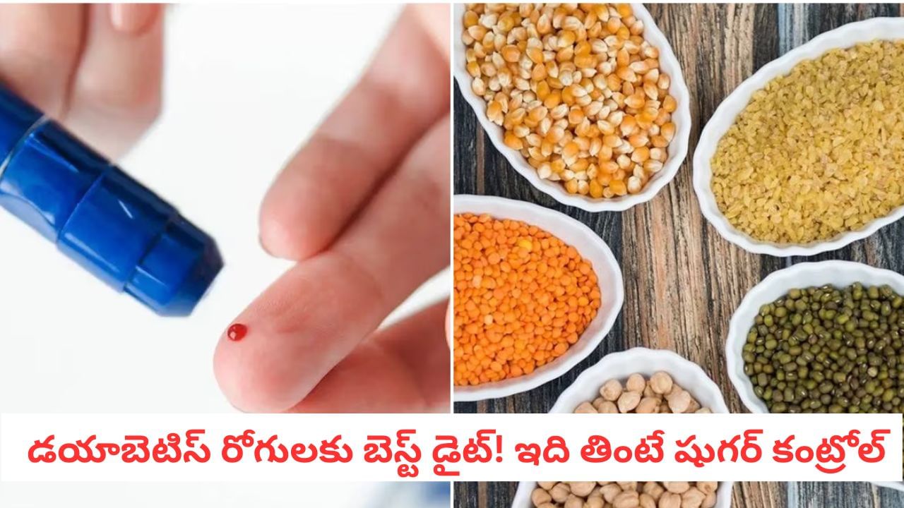 Diabetes Diet: ఈ పప్పుతో షుగర్ కంట్రోల్ అవుతుందా? నిపుణులు చెప్పిన బెస్ట్ డైట్ సీక్రెట్స్!