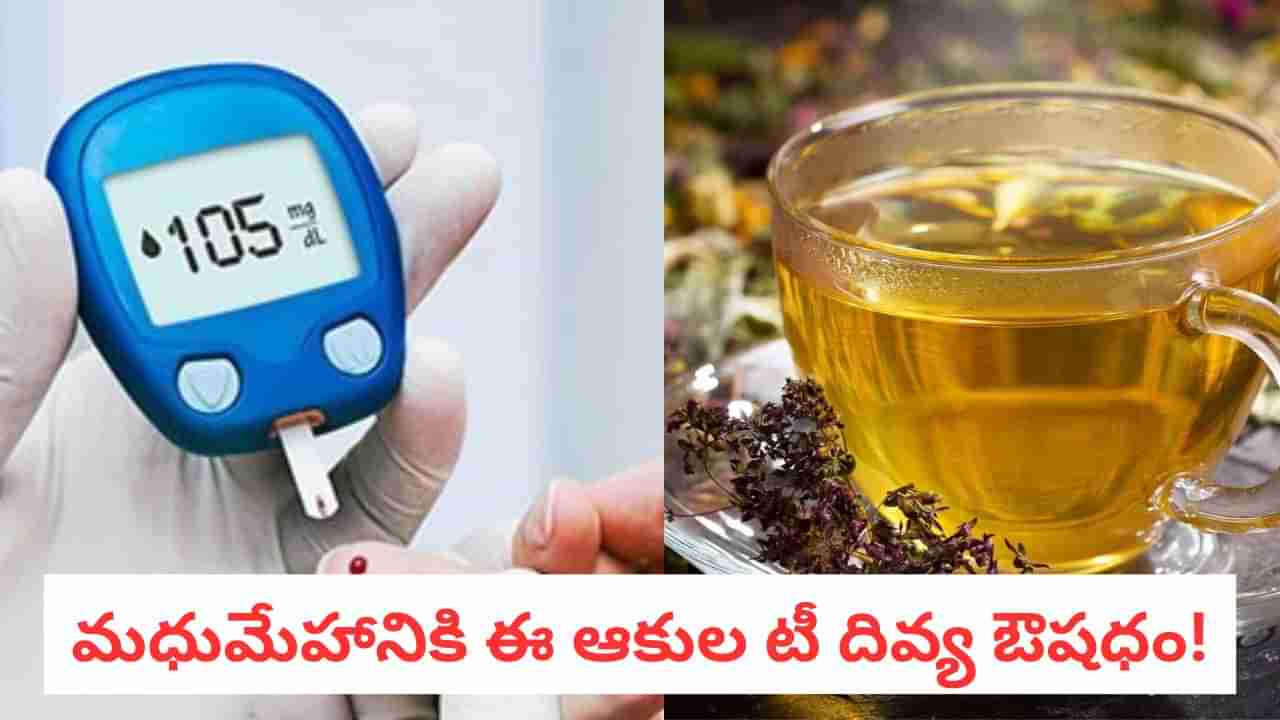 Diabetes Control: మధుమేహానికి ఇన్సులిన్తో సమానం.. నెల రోజులు ఈ టీ తాగితే అద్భుతాలే..