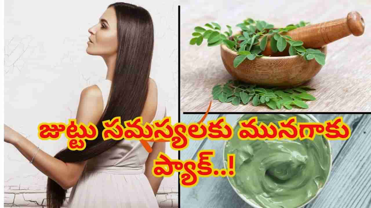 జుట్టు సమస్యలకు మునగాకు ప్యాక్..! ఆరోగ్యమే కాదు అందానికీ మంచిదట.. ఎలా వాడాలంటే..