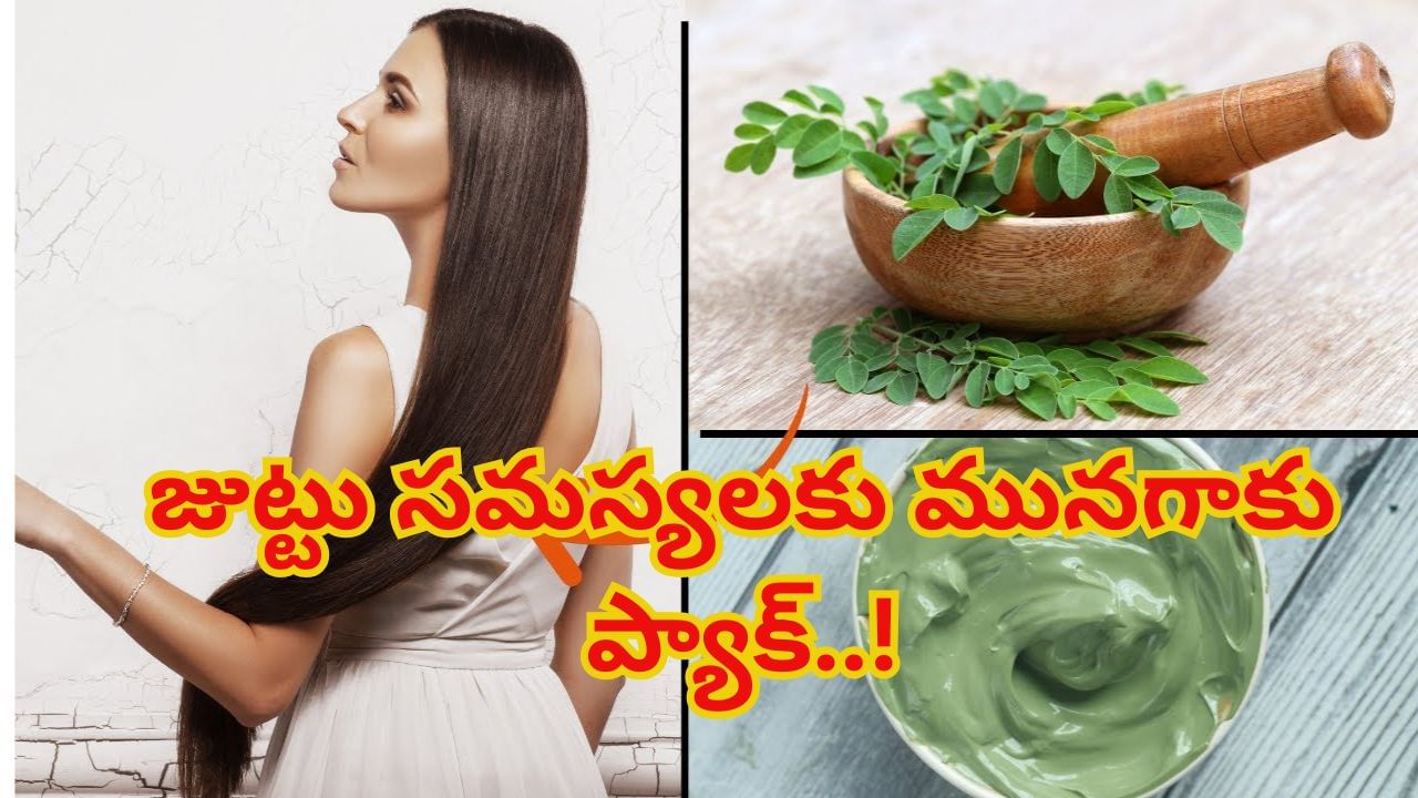 జుట్టు సమస్యలకు మునగాకు ప్యాక్..! ఆరోగ్యమే కాదు అందానికీ మంచిదట.. ఎలా వాడాలంటే..