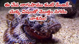 Viral News: సైకిల్‌ కొంటాం..లోన్‌ కావాలంటూ బ్యాంకు వెళ్లిన చిన్నారులు..! తాకట్టు పెడతామంటూ..