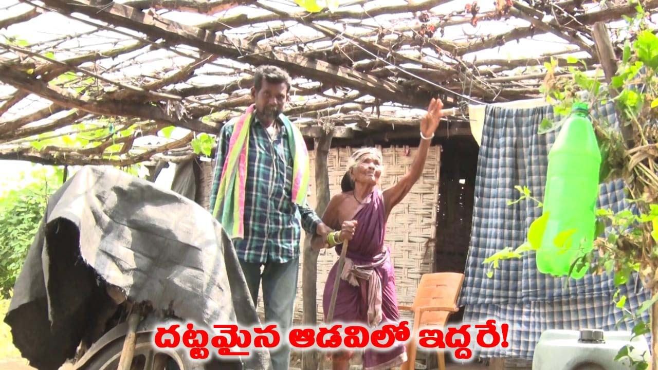 వందేళ్ల అవ్వకు కొడుకే సర్వస్వం.. దట్టమైన అభయారణ్యంలో తల్లీకొడుకుల ఒంటరి జీవితం!