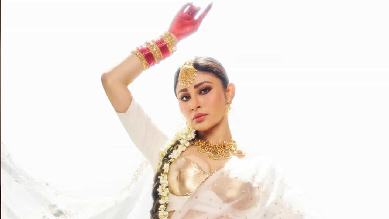 ఇక ఈ సినిమా తర్వాత పలు సినిమాల్లో ఆఫర్స్ కొట్టేసినట్లు సమాచారం. ముఖ్యంగా ఈ బ్యూటీ బుల్లితెరపై, వెండితెరపై తమ నటనతో ఆకట్టుకోవడమే కాకుండా, స్పెషల్ సాంగ్‌లో కూడా మెరవనుంది. తెలుగులో చిరంజీవి విశ్వంభర సినిమాలో ఈ బ్యూటీ స్పెషల్ సాంగ్‌లో కనిపించబోతున్నది. ప్రస్తుతం పలు ప్రాజెక్ట్‌లతో ఫుల్ బిజీగా ఉన్న ఈ  బ్యూటీ ఏ కాస్త సమయం దొరికినా సరే సోషల్ మీడియాలో ఫుల్ యాక్టివ్‌గా ఉంటుంది.