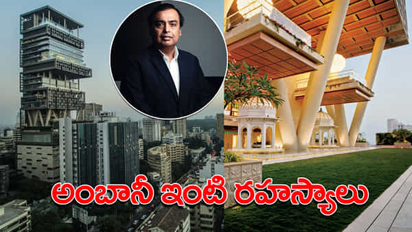 Mukesh Ambani: ఆంటిలియా రహస్యాలు.. ముఖేష్ అంబానీ ఇంట్లో పని చేసే చెఫ్కి జీతం ఎంతో తెలిస్తే షాకవుతారు!