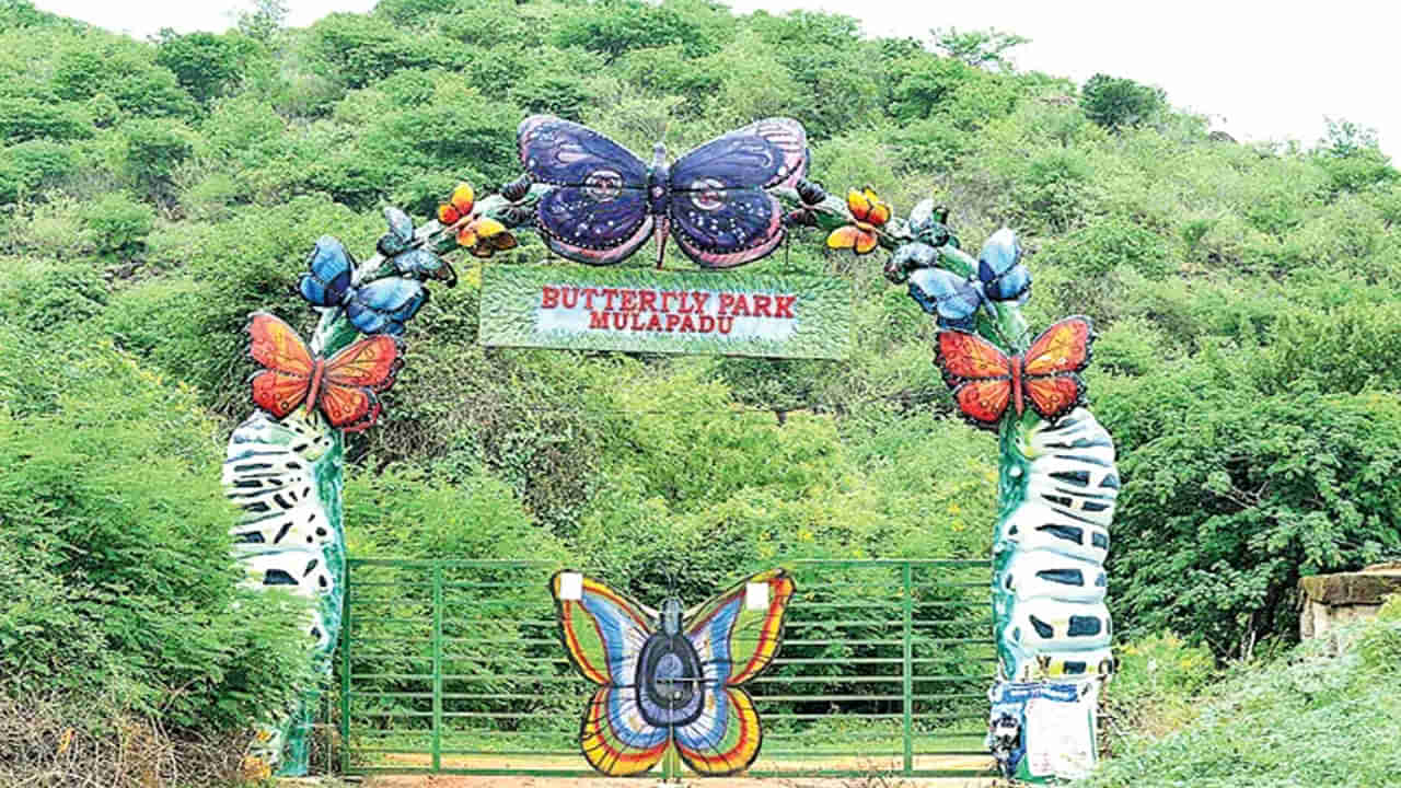 Andhra: గుడ్ న్యూస్.. ఎన్టీఆర్ జిల్లాలోని ఆ ఫారెస్ట్‌లో అందుబాటులోకి జంగిల్ సఫారీ,  జిప్ లైనర్