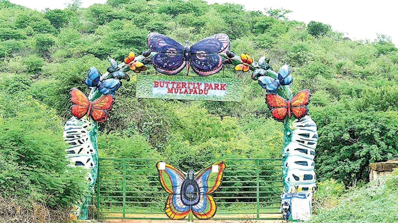 Andhra: గుడ్ న్యూస్.. ఎన్టీఆర్ జిల్లాలోని ఆ ఫారెస్ట్‌లో అందుబాటులోకి జంగిల్ సఫారీ,  జిప్ లైనర్