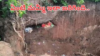 అయ్యో దేవుడా.. పాముకాటుతో ఏడాదిన్నర చిన్నారి మృతి.. ఇంట్లో ఆడుకుంటుండగా..