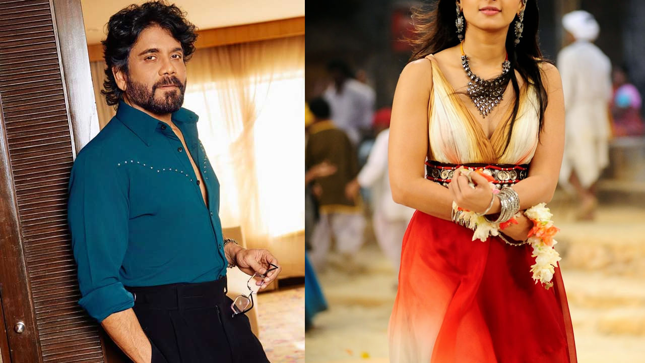 Nagarjuna : ఎన్నాళ్లకు కుదిరిందయ్యా జోడీ.. నాగార్జున సరసన మరోసారి క్రేజీ హీరోయిన్.. ఇక బొమ్మ బ్లాక్ బస్టర్ అంతే..