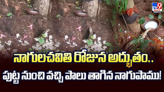 నా బిడ్డతో.. అదే చివరి కాల్.. అనూష తండ్రి రోదన వీడియో