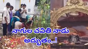 నాగులచవితి నాడు శివాలయంలో నాగుపాము ప్రత్యక్షం.. పడగవిప్పి ఇలా..