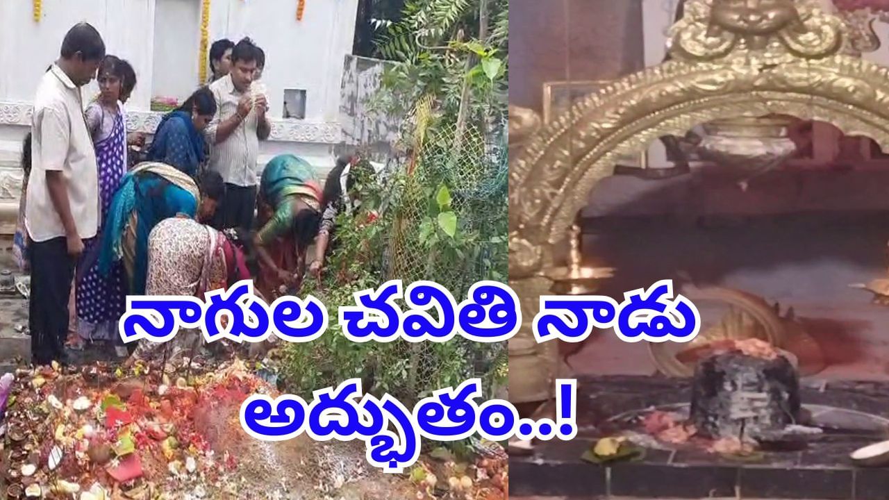 Watch: నాగులచవితి నాడు అద్భుతం..! శివాలయంలో నాగుపాము ప్రత్యక్షం.. గర్భగుడిలో పడగవిప్పి..