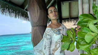 Soggade Chinni Nayana: సోగ్గాడే చిన్నినాయన సినిమాలో రమ్యకృష్ణ పాత్రను రిజెక్ట్ చేసిన హీరోయిన్.. ఎవరో తెలుసా?