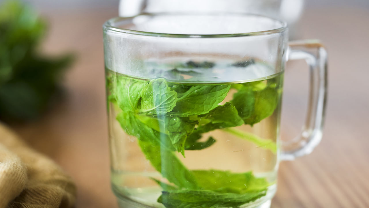 రోజూ ఖాళీ కడుపుతో తులసి నీరు తాగడం వల్ల శరీరంలోని బ్యాక్టీరియా తొలగిపోతుంది. ఇది మొటిమలను తగ్గించడంలో సహాయపడుతుంది. దీన్ని క్రమం తప్పకుండా తీసుకోవడం వల్ల ముఖంపై ఉన్న మచ్చలు త్వరగా మాయమవుతాయి.