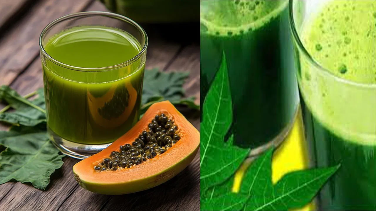 జీర్ణక్రియ ఆరోగ్యం: జీర్ణవ్యవస్థ ఆరోగ్యంగా ఉంచడంతో బొప్పాయి ఆకుల రసం కీలక పాత్ర పోషిస్తుంది. ఇందులో ఉండే ఎంజైమ్లు జీర్ణక్రియను సులభతరం చేస్తాయి. అలాగే గ్యాస్, ఆమ్లత్వం, మలబద్ధకం వంటి సమస్యలను తగ్గిస్తాయి. ఇది ప్రేగులను శుభ్రపరచడం ద్వారా ఆరోగ్యకరమైన జీర్ణవ్యవస్థను నిర్వహించడంలో సహాయపడుతుంది.