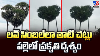 పసరికపాము అనుకునేరు.. కాటు వేస్తే కాటికే…