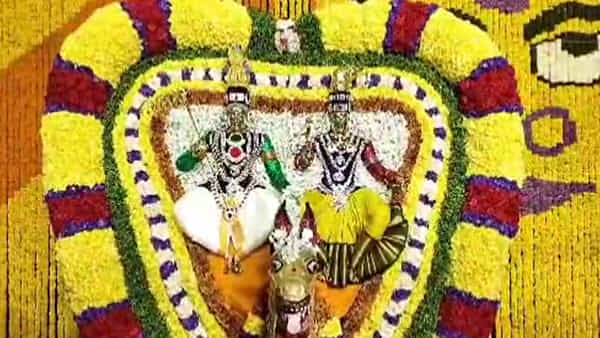 శ్రీశైలంలో వైభవంగా దసరా మహోత్సవాలు.. రాజరాజేశ్వరి అలంకారంలో దర్శనం ఇచ్చిన భ్రమరాంబిక