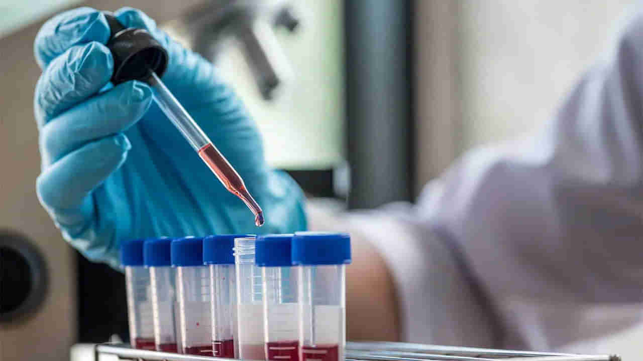 వైద్య చరిత్రలో సంచలన రికార్డు.. ఒకేఒక రక్త పరీక్షతో 10 ఏళ్లకు ముందే ఒంట్లో క్యాన్సర్‌ గుర్తింపు!