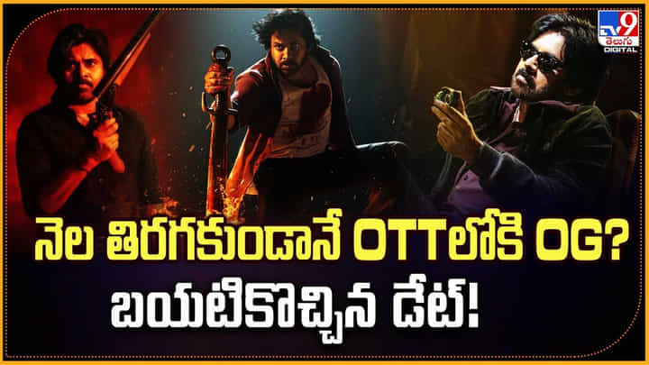 నెల తిరగకుండానే OTTలోకి OG ?? బయటికొచ్చిన డేట్ !! నెల తిరగకుండానే OTTలోకి OG ?? బయటికొచ్చిన డేట్ !!