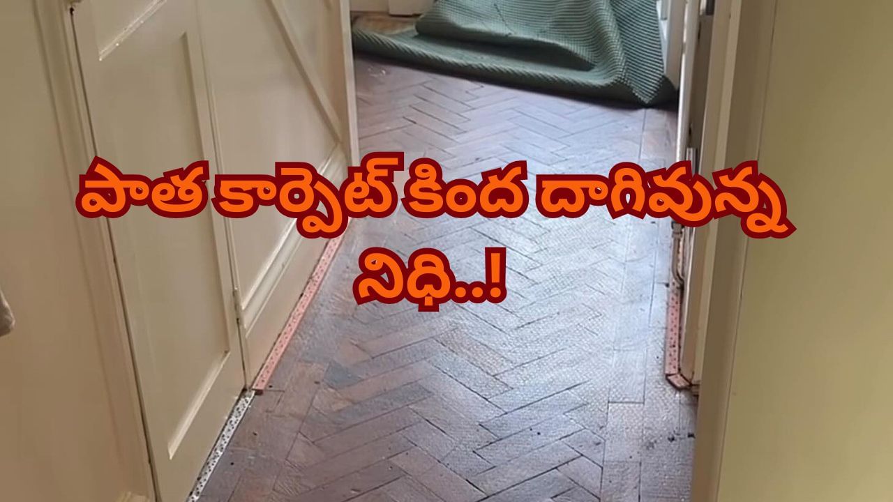 100ఏళ్లనాటి ఇంటిని కొన్న జంటకు జాక్‌పాట్‌.. పాత కార్పెట్‌ కింద దాగివున్న నిధి..!
