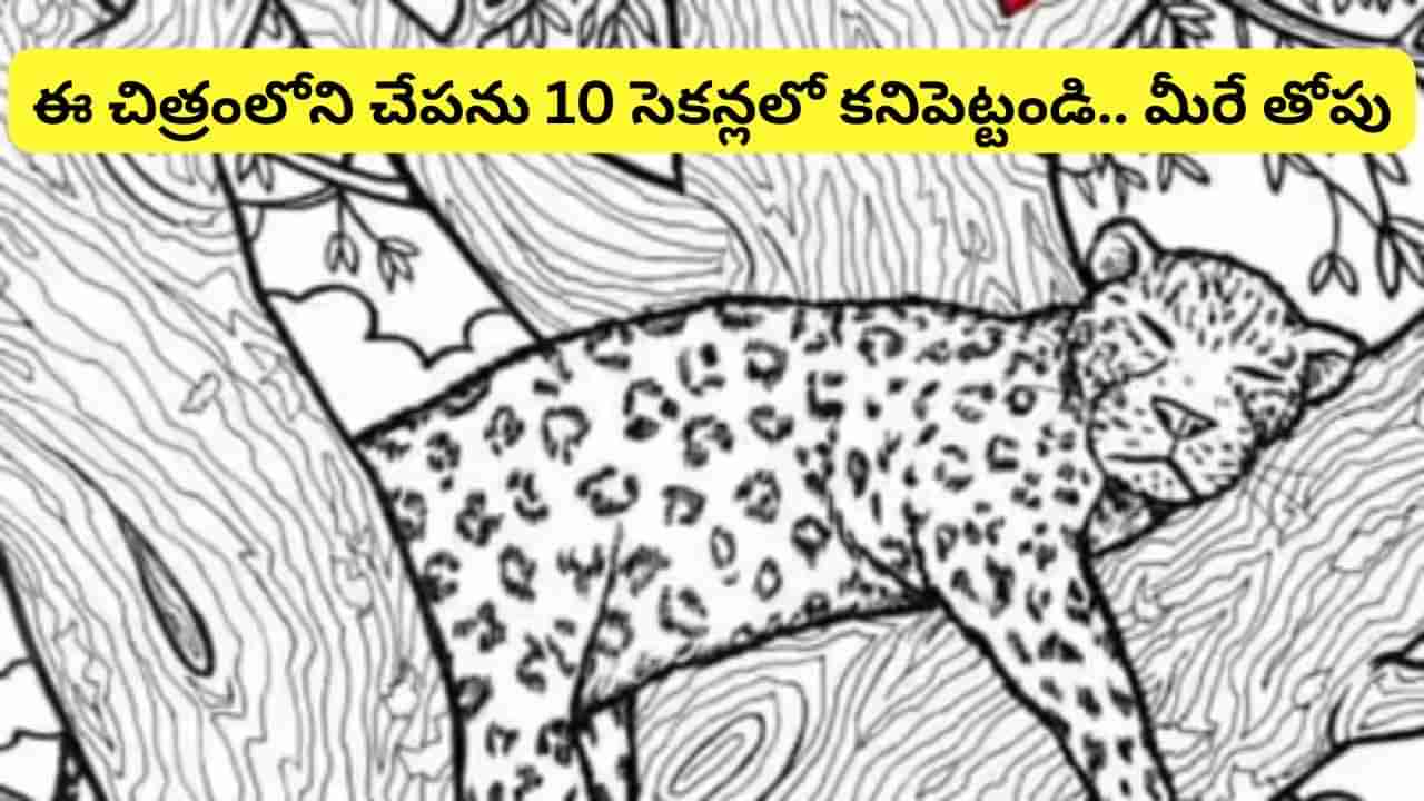 Optical illusion: మీకో సవాల్.. ఈ చిత్రంలో దాగిఉన్న చేపను 10 సెకన్లలో గుర్తిస్తే.. మీరే తోపులు