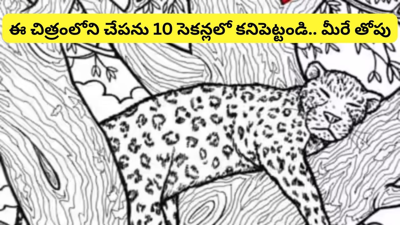 Optical illusion: మీకో సవాల్.. ఈ చిత్రంలో దాగిఉన్న చేపను 10 సెకన్లలో గుర్తిస్తే.. మీరే తోపులు