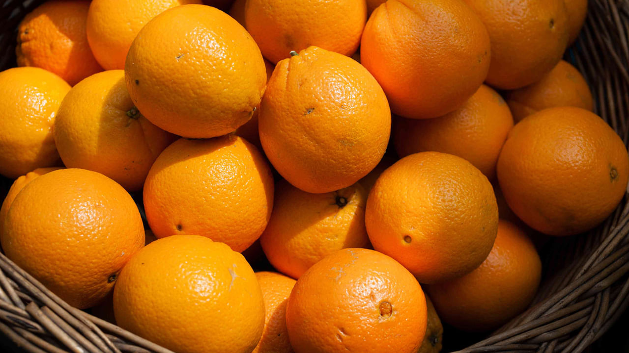 NOTE : పైన పేర్కొన్న అంశాలు ఇంటర్నెట్, నివేదిక నుంచి సేకరించిన వివరాల ఆధారంగా అందించబడినవి.. వీటిపై మీకు ఏవైనా సందేహాలు ఉంటే.. వైద్యులను సంప్రదించడం మంచిది