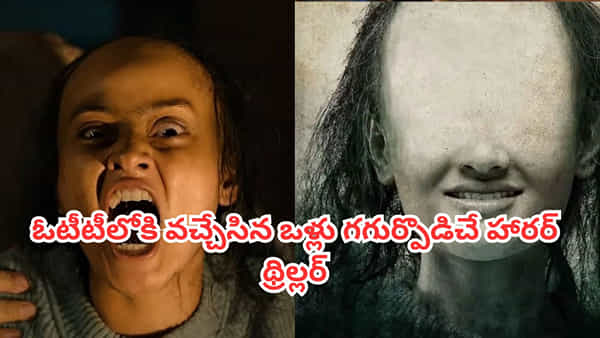 OTT Movie: మీ గుండెలు గట్టిగా ఉంటేనే చూడండి.. ఓటీటీలో ఒళ్లు గగుర్పొడిచే హరర్ థ్రిల్లర్..