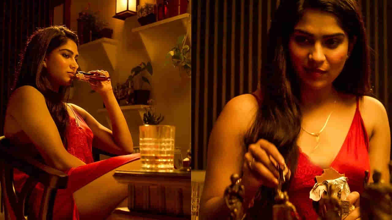 డబ్బుకోసం ముసలోడితో పెళ్లి.. మరొకడితో ఆ యవ్వారం.. ఓటీటీలో క్రేజీ రొమాంటిక్ మూవీ