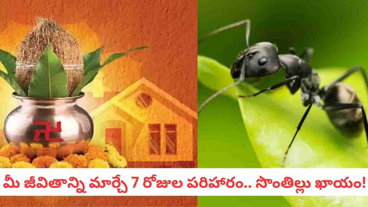 Own House Remedy: మీ సొంతింటి కల నిజం కావాలంటే... ఈ చిన్న పని చేయండి ఇంటి అప్పులు మాయం!