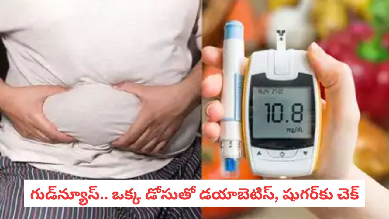 Ozempic India: మధుమేహం, అధిక బరువుకు ఒకటే మందు.. వారానికి ఒక్క డోసు చాలు..!
