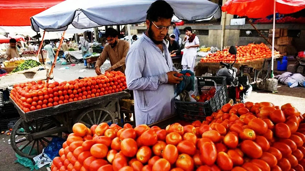Pakistan Tomato Price Crisis