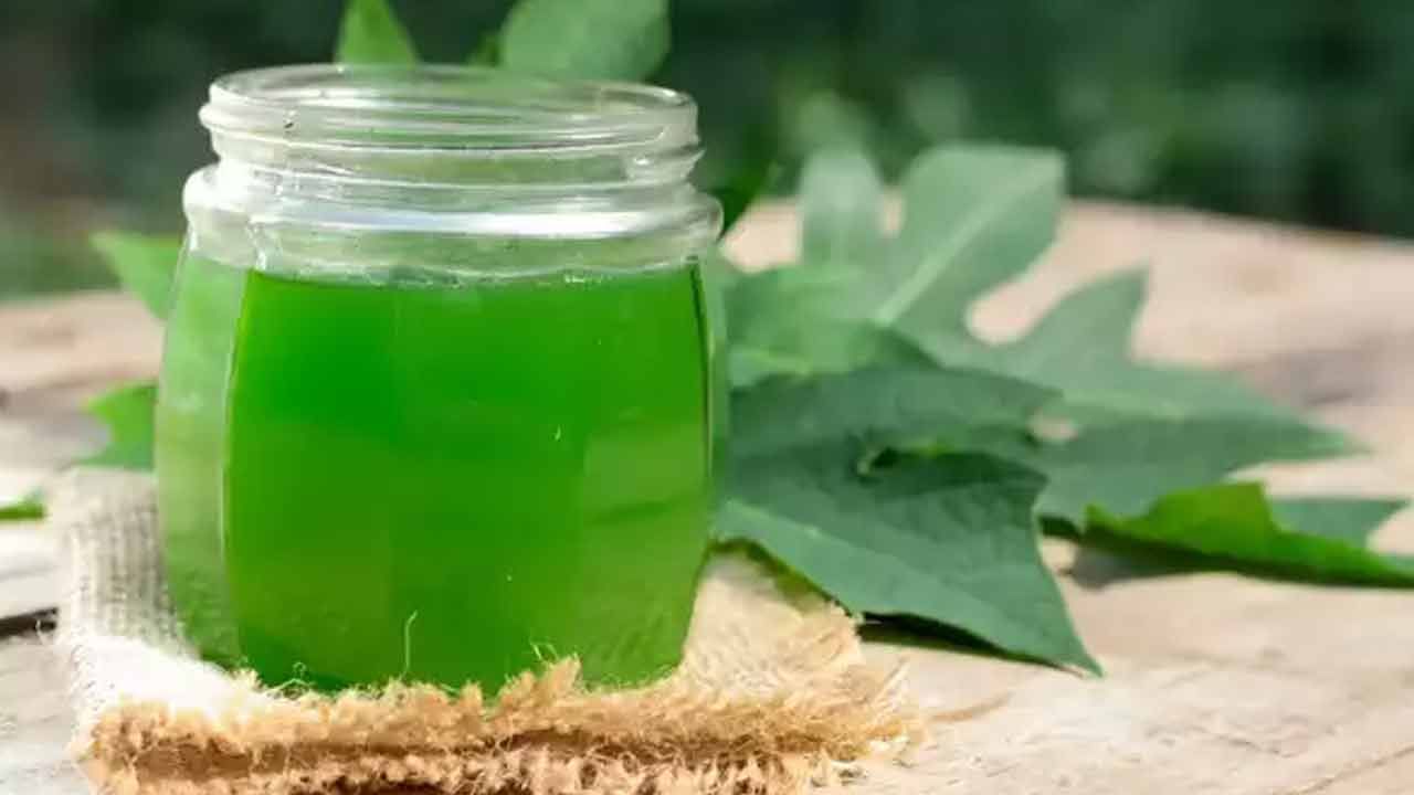 జీర్ణవ్యవస్థను బలోపేతం చేస్తుంది: బొప్పాయి ఆకుల రసం జీర్ణవ్యవస్థకు చాలా ప్రయోజనకరంగా ఉంటుంది. ఇందులో ఉండే ఎంజైమ్‌లు జీర్ణక్రియను మెరుగుపరుస్తాయి. గ్యాస్, ఆమ్లత్వం, మలబద్ధకం వంటి కడుపు సమస్యలను తగ్గిస్తాయి. ఈ రసం ప్రేగులను శుభ్రపరచడానికి, ఆరోగ్యకరమైన జీర్ణవ్యవస్థను నిర్వహించడానికి కూడా సహాయపడుతుంది.