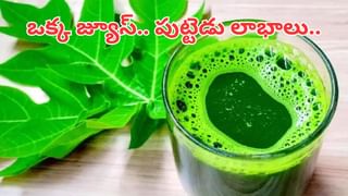 కటిక చేదుగా ఉంటుందని భయపడొద్దు.. అన్ని రోగాలకు సర్వరోగనివారిణి..