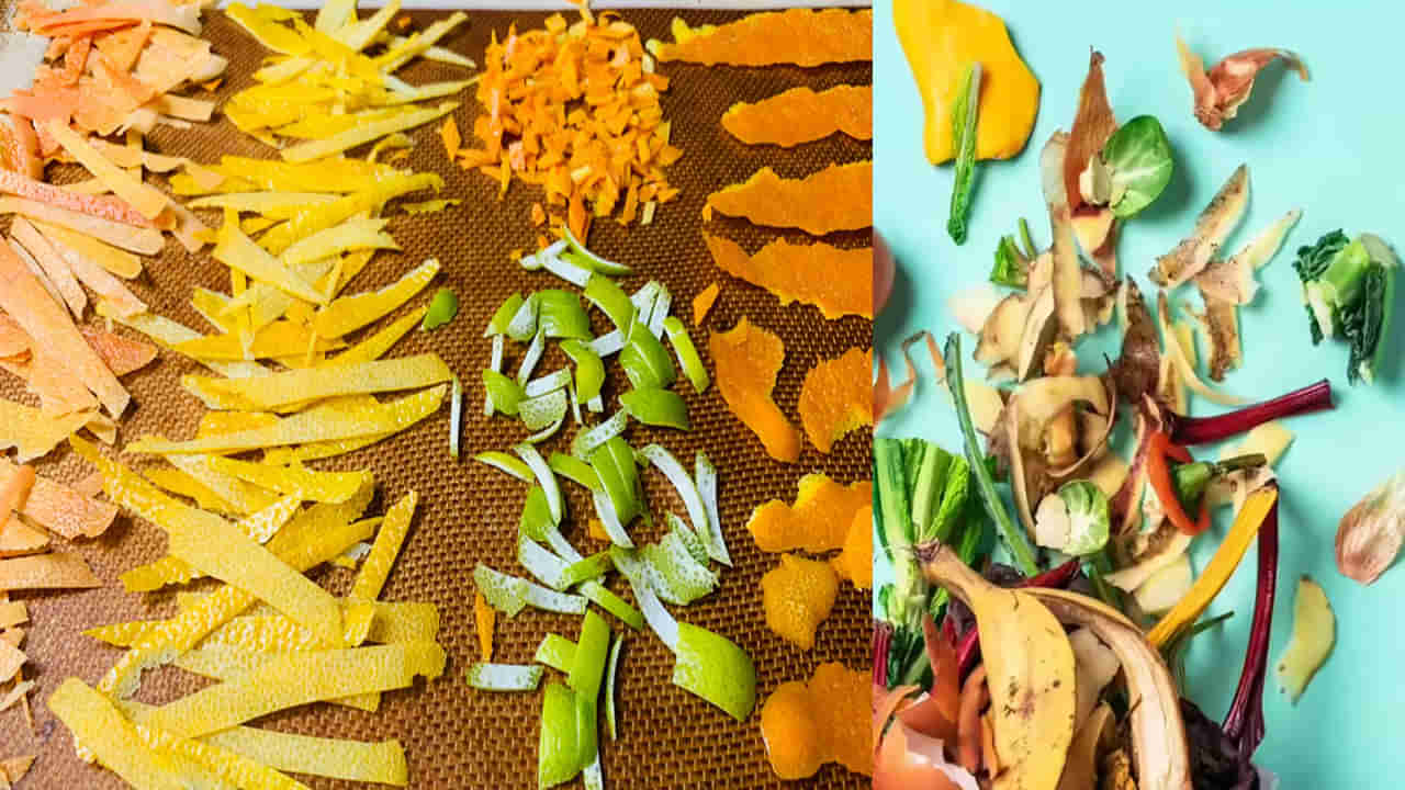 వంట గదిలో వ్యర్ధాలైన తొక్కలకు అర్ధాన్ని చెప్పండి.. రుచికరమైన, పోషకాహారం చేసుకోండి..