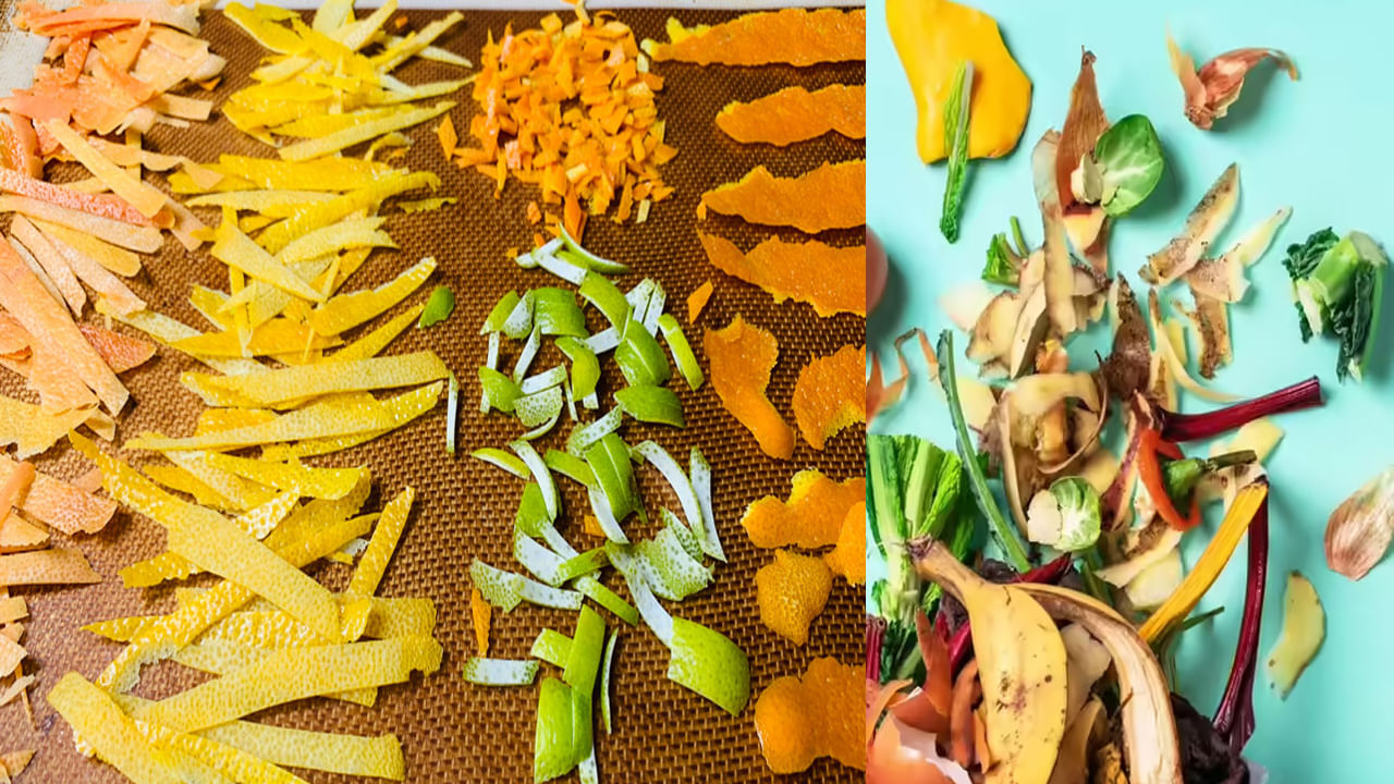 వంట గదిలో వ్యర్ధాలైన తొక్కలకు అర్ధాన్ని చెప్పండి.. రుచికరమైన, పోషకాహారం చేసుకోండి..