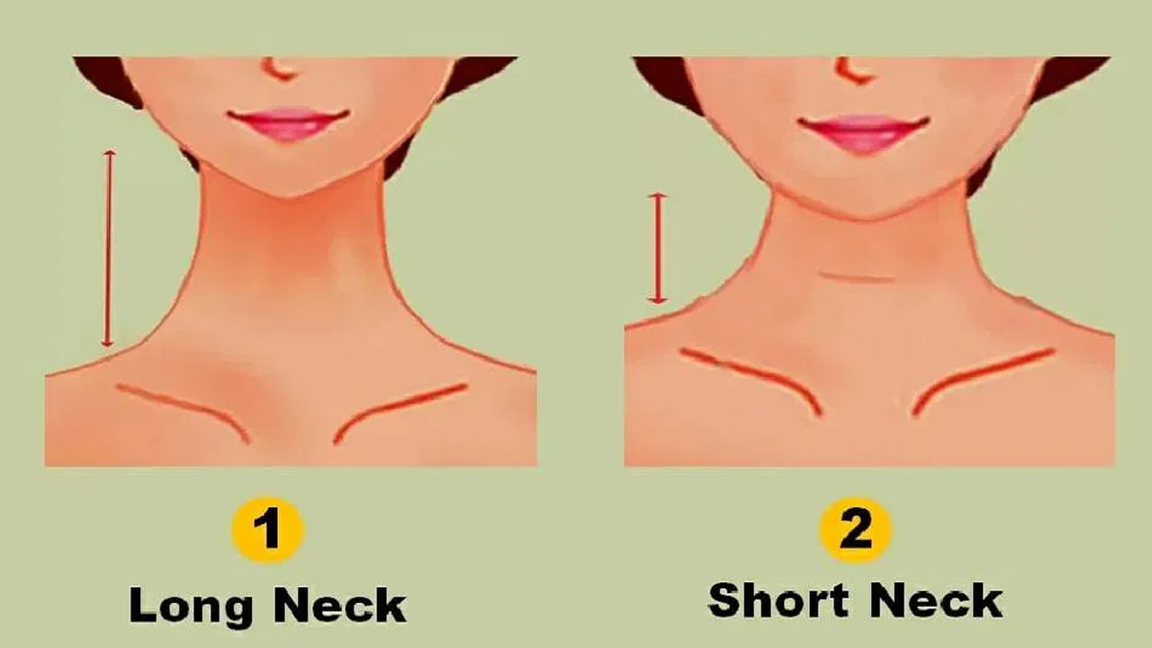 Personality Test: పొడవుగా లేదా పొట్టిగా మెడ ఉందా..! ఈ మెడ పొడవు వ్యక్తిత్వాన్ని వెల్లడిస్తుందని తెలుసా..!