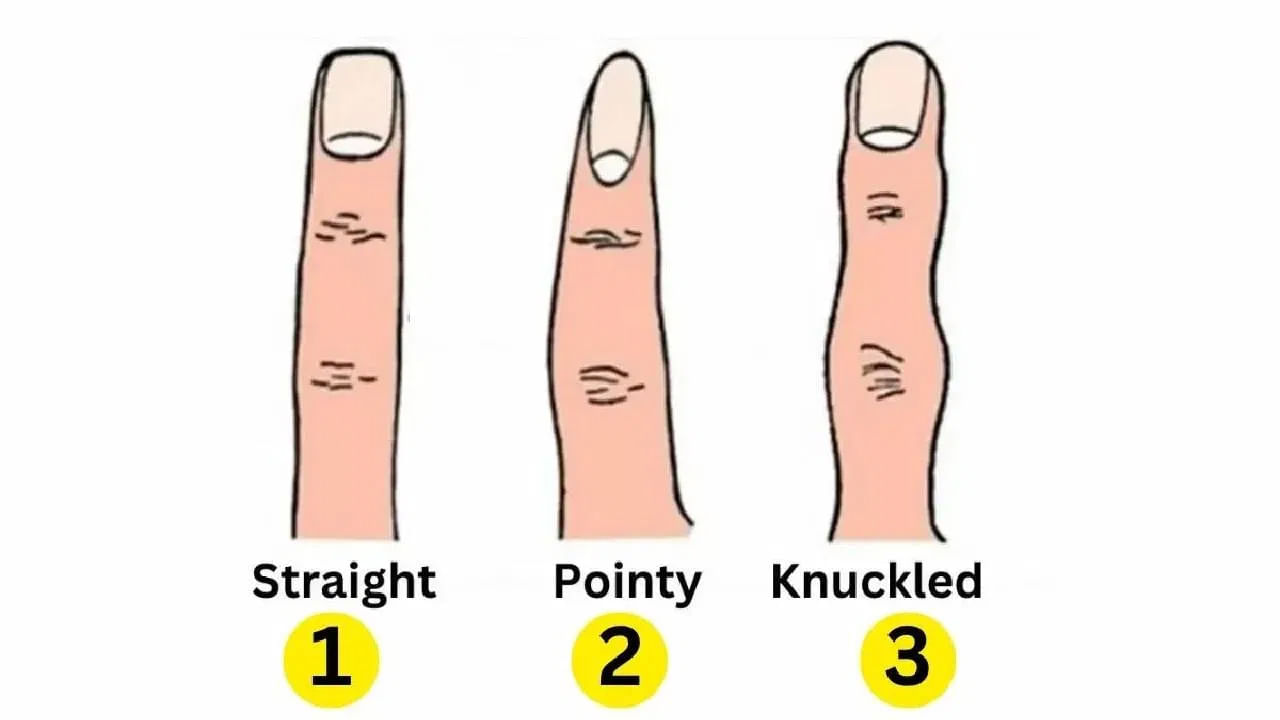 Personality Test: చేతి వేళ్ల ఆకారాన్ని బట్టి.. మీరు ఎలాంటి వారో తెలుసుకోవచ్చు.. ఎలా అంటే?