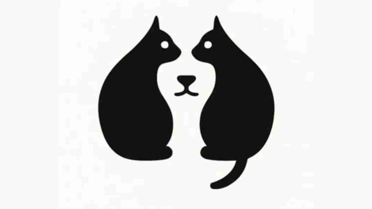 Personality Test: ఈ చిత్రంలో మీరు మొదట దేన్ని చూస్తారో.. అదే మీ వ్యక్తిత్వం.. మీ రెలాంటివారో తెలుసుకోండి?