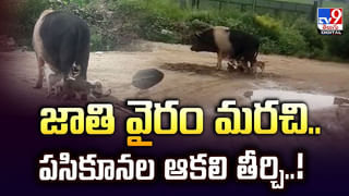 చూసి తీరాల్సిన రిచ్ కంట్రీ ఏడుగురే ఖైదీలు.. వంద మంది పోలీసులు