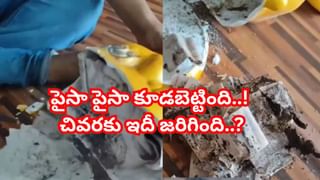Viral Video: మీ కళ్లను మీరే నమ్మలేరు.. పామును పాప్‌కార్న్‌లా కరకరా నమిలి తిన్న కప్ప..