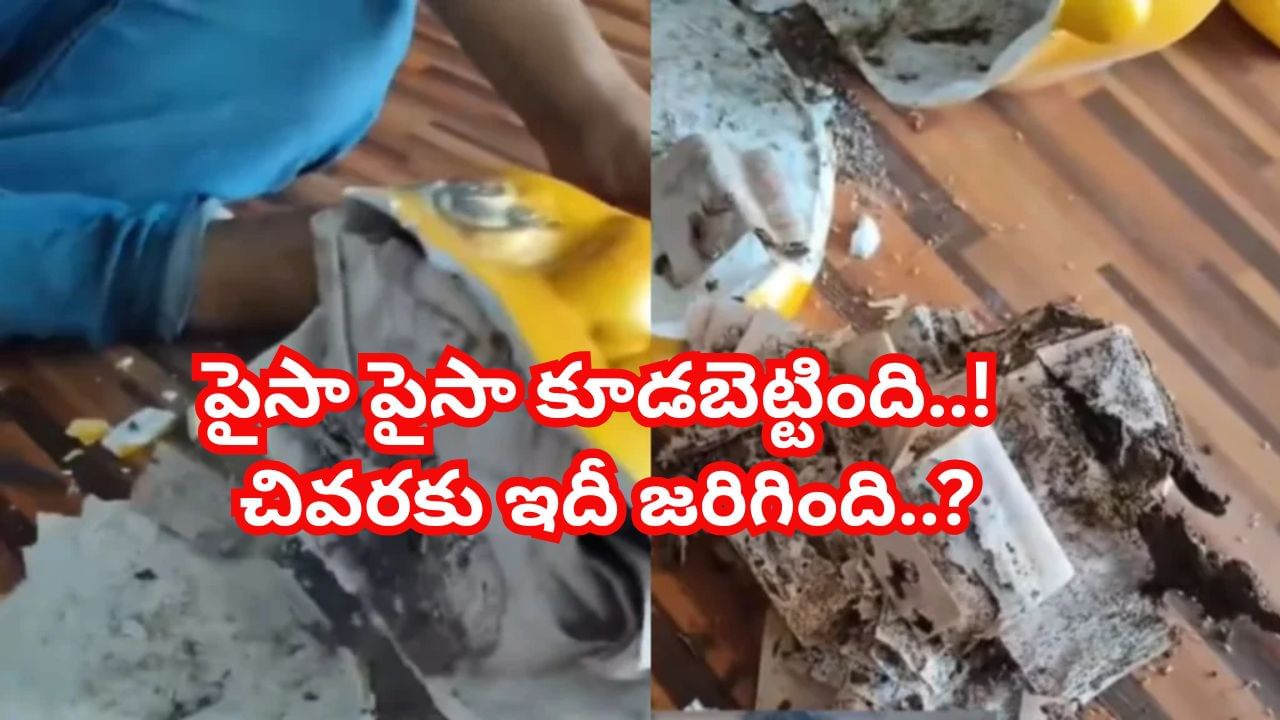 Watch: పైసా పైసా జమచేసింది.. ఆఖరుకు గళ్లా పగులగొట్టి చూస్తే గుండెలు గుభేల్‌..!