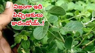 LPG Save: నెలకే సిలిండర్ అయిపోతోందా? అయితే మీరు మోసపోతున్నట్టే లెక్క!