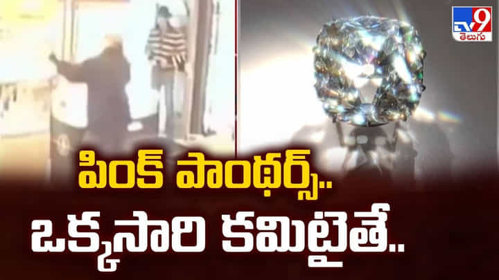 పింక్ పాంథర్స్.. ఒక్కసారి కమిటైతే.. పింక్ పాంథర్స్.. ఒక్కసారి కమిటైతే..
